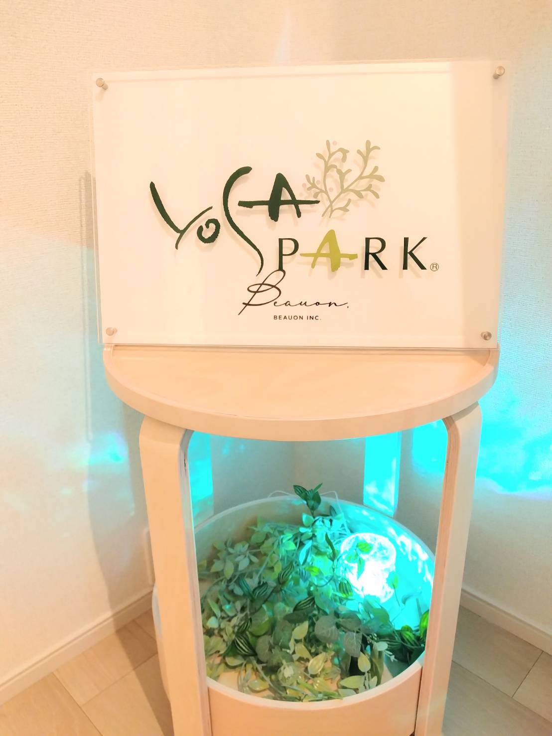 水素酸素発生器本体