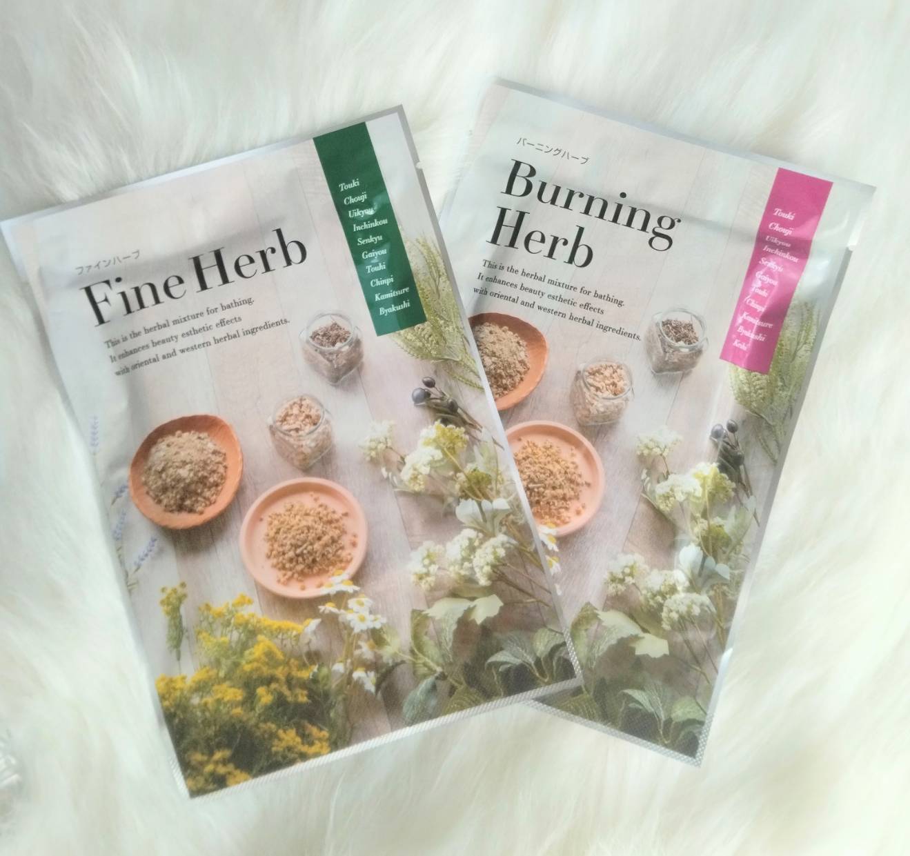 水素酸素発生器本体